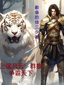 三国天下风云